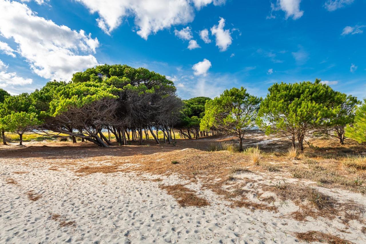 Affittasardegna-Case Pompia Siniscola Dış mekan fotoğraf