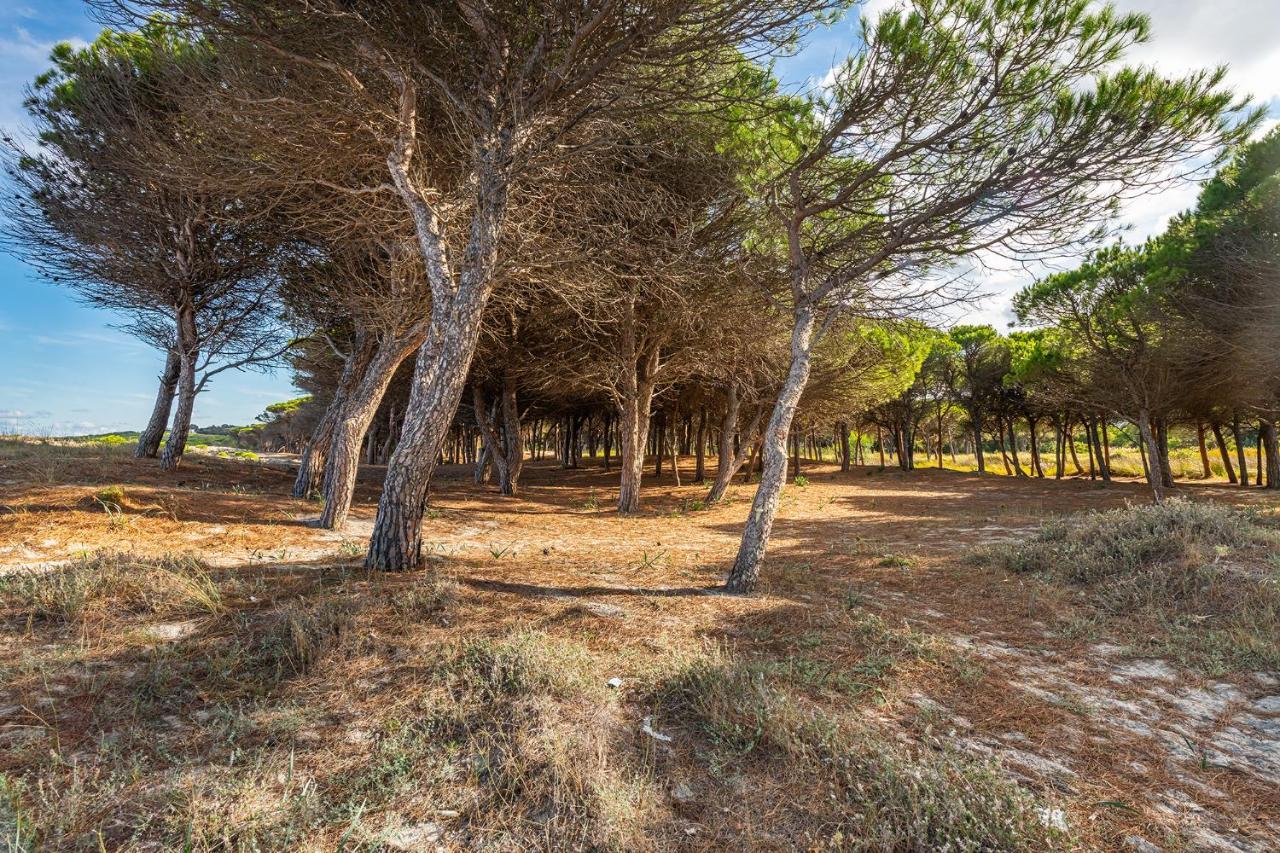 Affittasardegna-Case Pompia Siniscola Dış mekan fotoğraf
